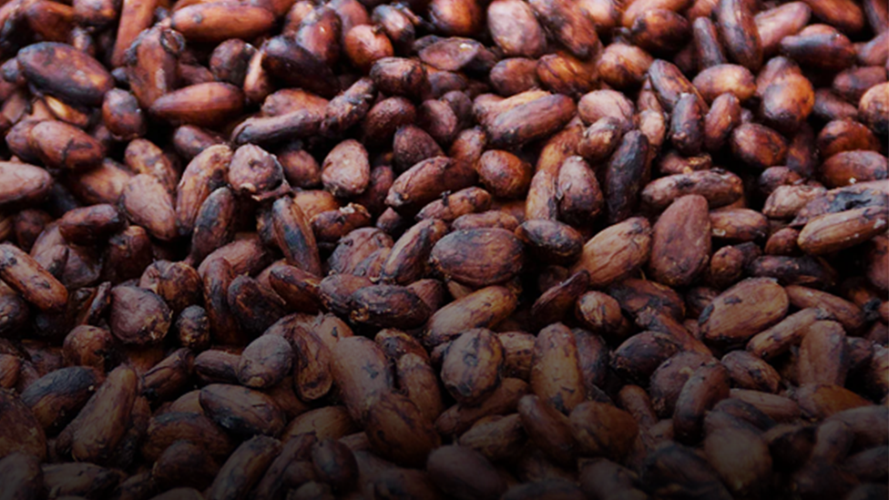 cocoa madagasar diana