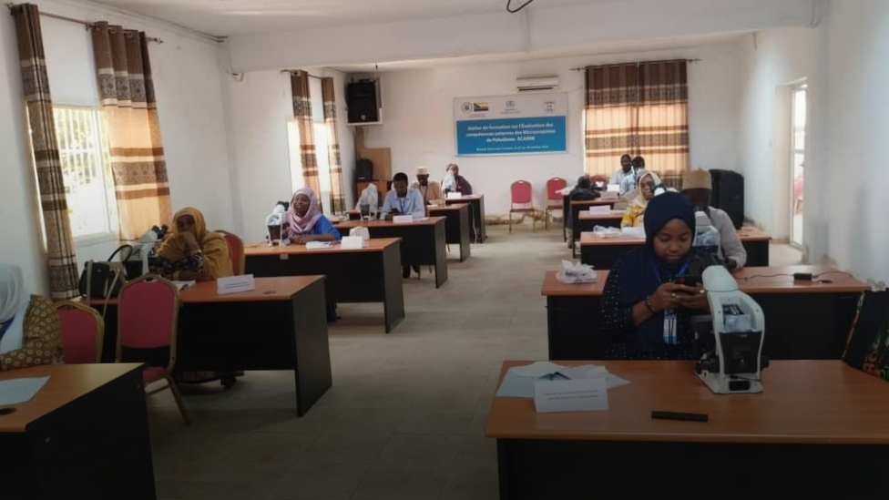 comoros PNLP health