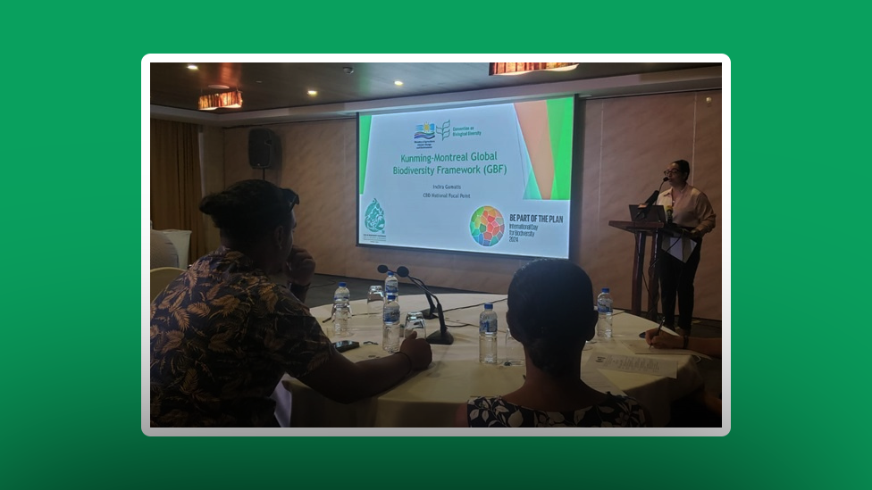 seychelles sustainable development