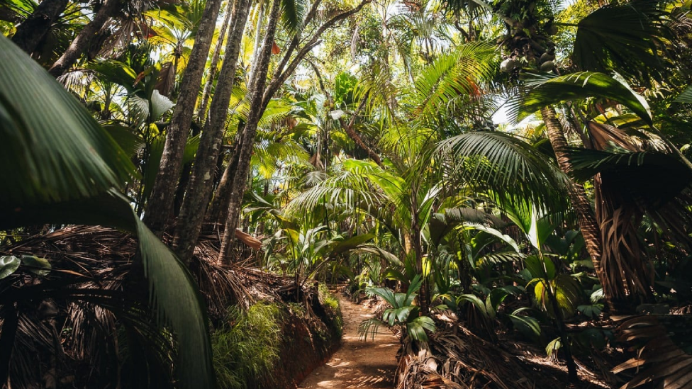 seychelles Tripexpert Experts' Choice Award